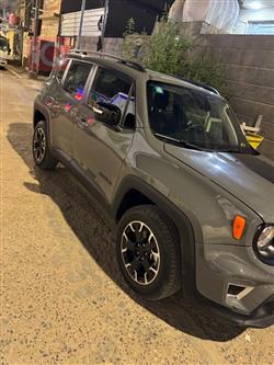 جيب رينيجيد